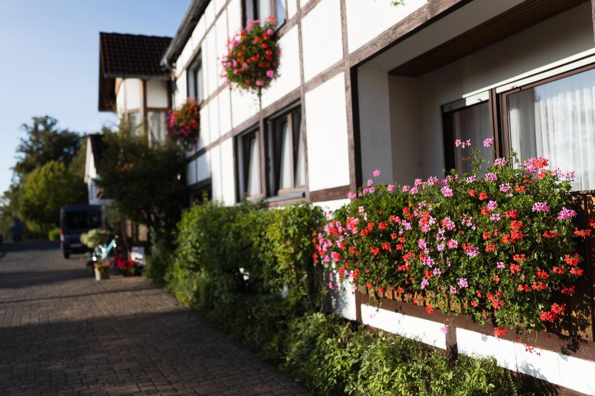 Pension Ridder Marienmünster Exteriör bild