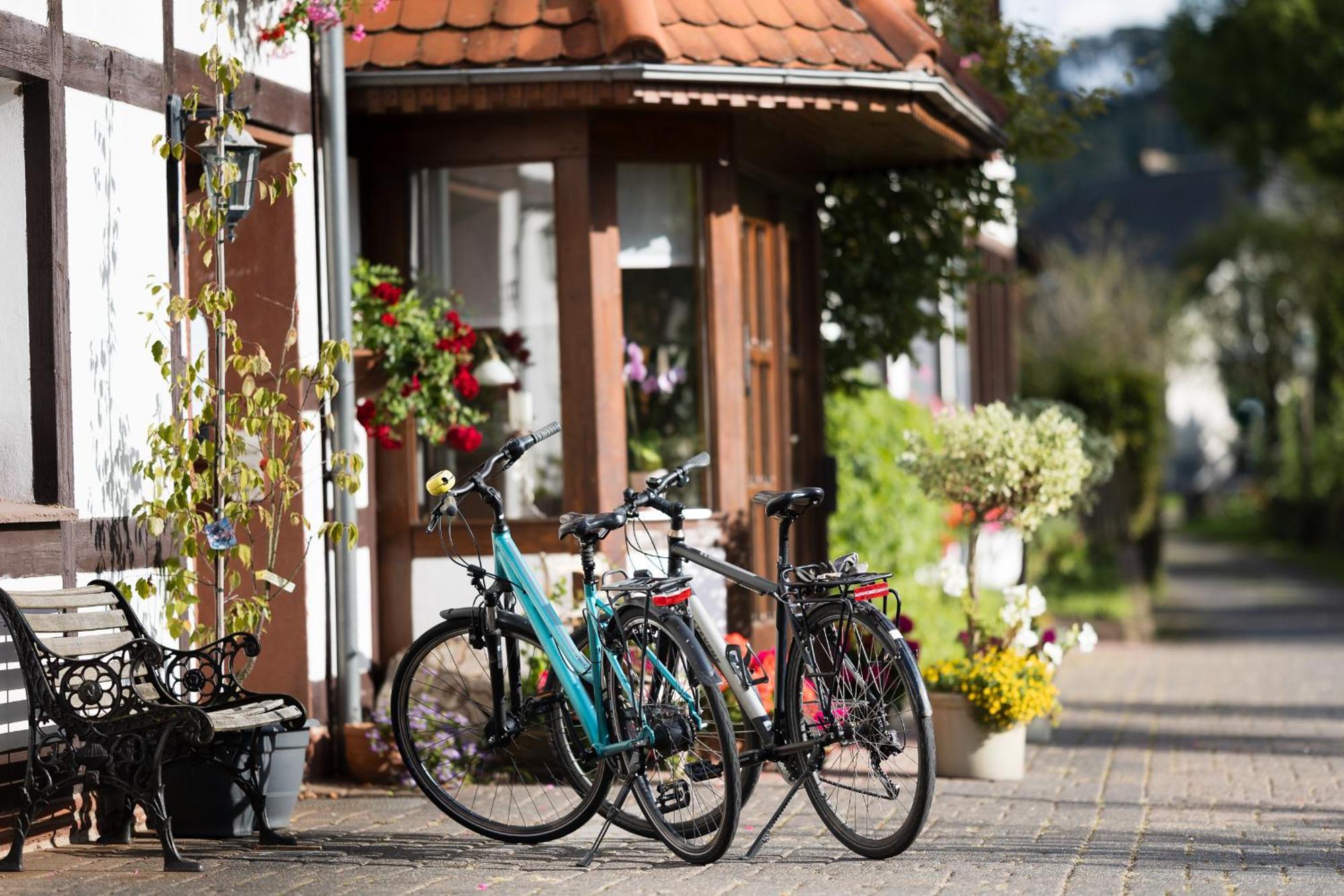 Pension Ridder Marienmünster Exteriör bild