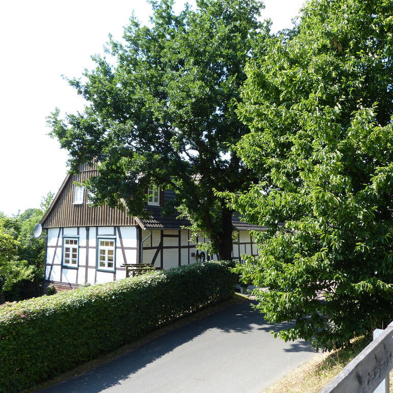 Pension Ridder Marienmünster Exteriör bild
